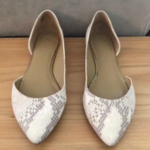 Ann Taylor snakeskin flats